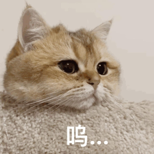 女人自己扒荫道让男人添小说
